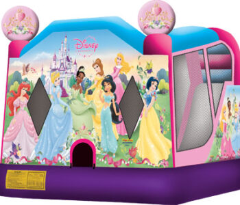 4in1 Princess Bounce House (C19)