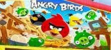 angry-birds-regular-bounce-house
