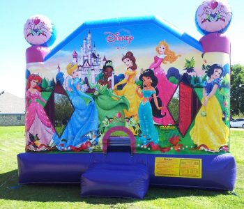 4in1 Princess Bounce House
