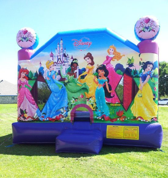 4in1 princess bounce house