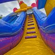 19ft-icecream-waterslide-rental-3.jpg