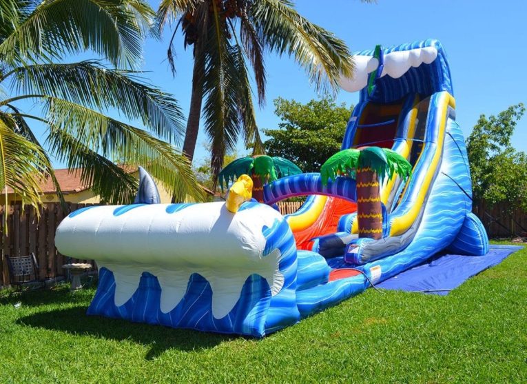 24ft Wild Waves Water Slide (S46)