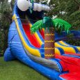 24FT-two-lane-water-slide-wild-waves.jpg
