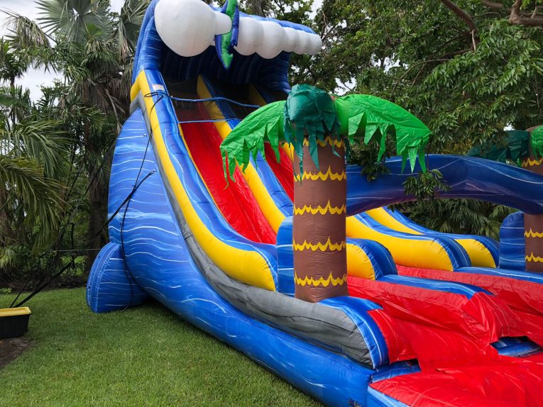 24FT-two-lane-water-slide-wild-waves.jpg