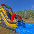 28ft-Danger-Zone-Double-Slide.jpg