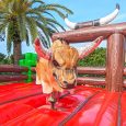 mechanical-bull-miami-rental3.jpg