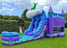 Mermaid Bounce House & Water Slide (C15)