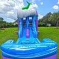 mermaid-combo-with-slide-and-pool.jpg