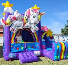 3D Unicorn Bounce House Combo (C20)
