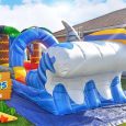 wild-waves-slip-n-slide-logo.jpg