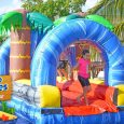wild-waves-waterslide-rental.jpg