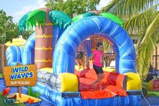 Wild Waves Slip n Slide (S51)